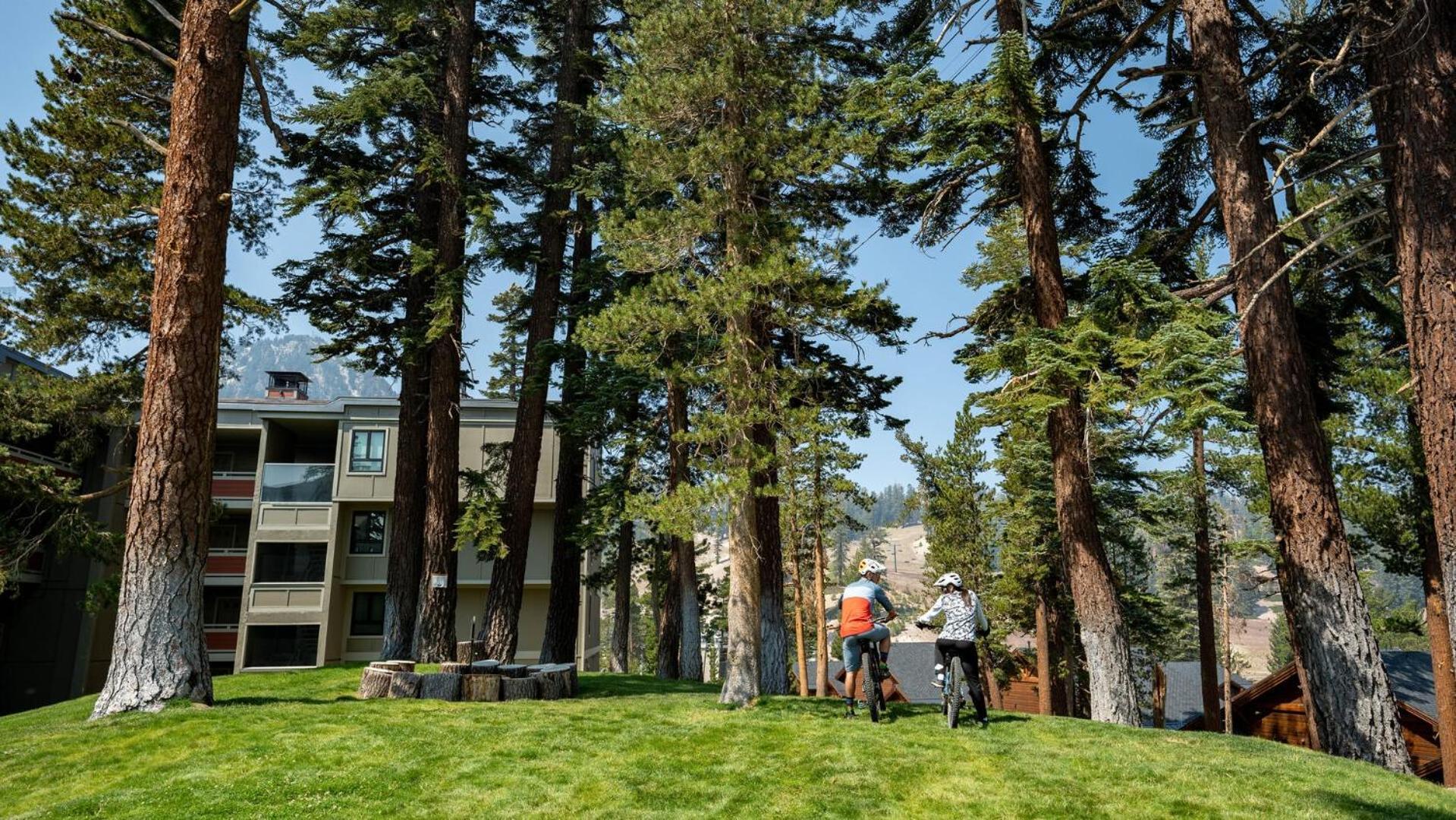Apartment 2 Bed 2 Bath Steps Away From Recreation! Mammoth Lakes